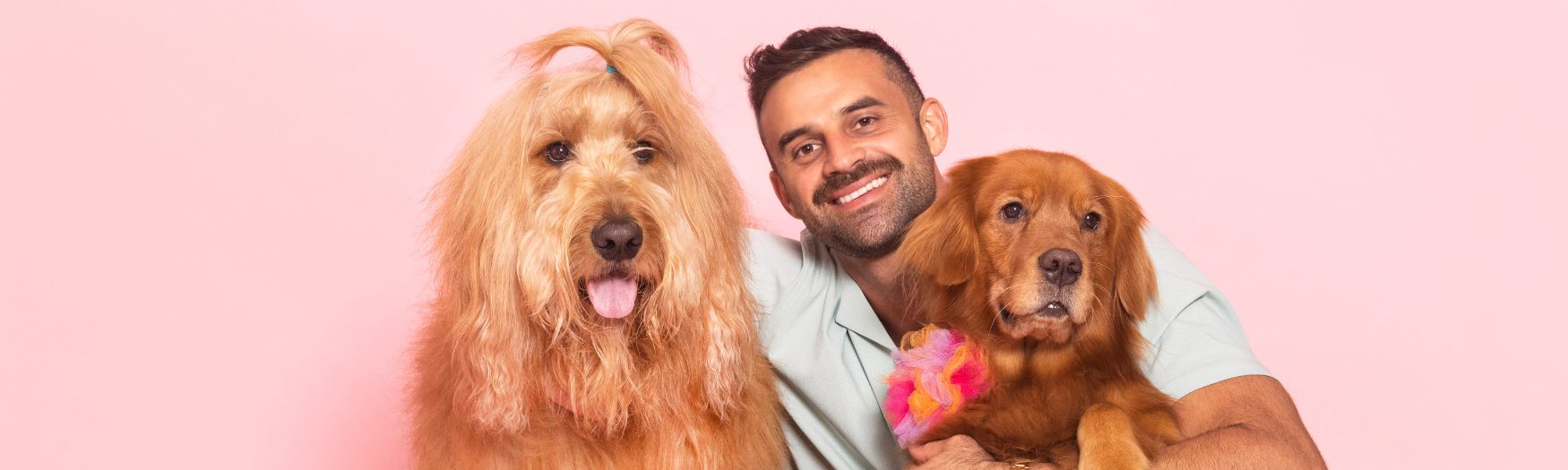 Floofy Festivities: 5 Ways to Celebrate the Holidays with Your Pup