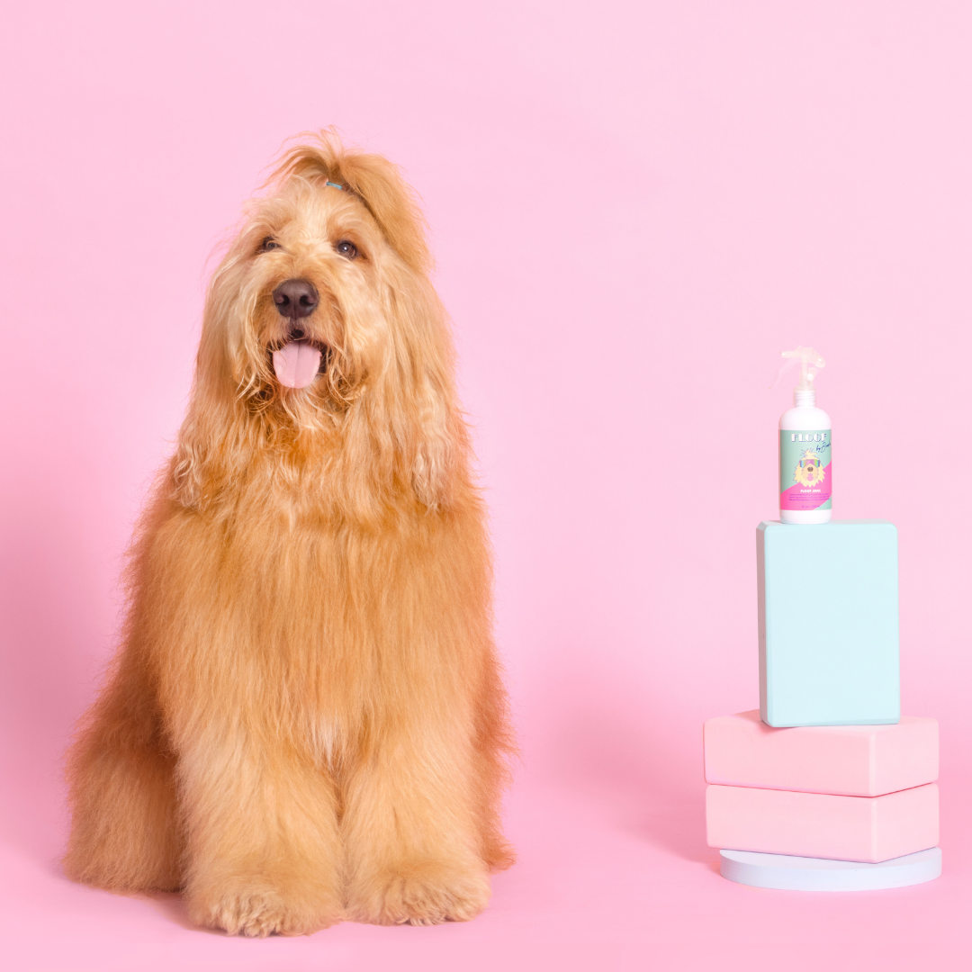 Floof Juice - Dry Shampoo for Dogs - Detangling and Conditioning No Rinse Spray