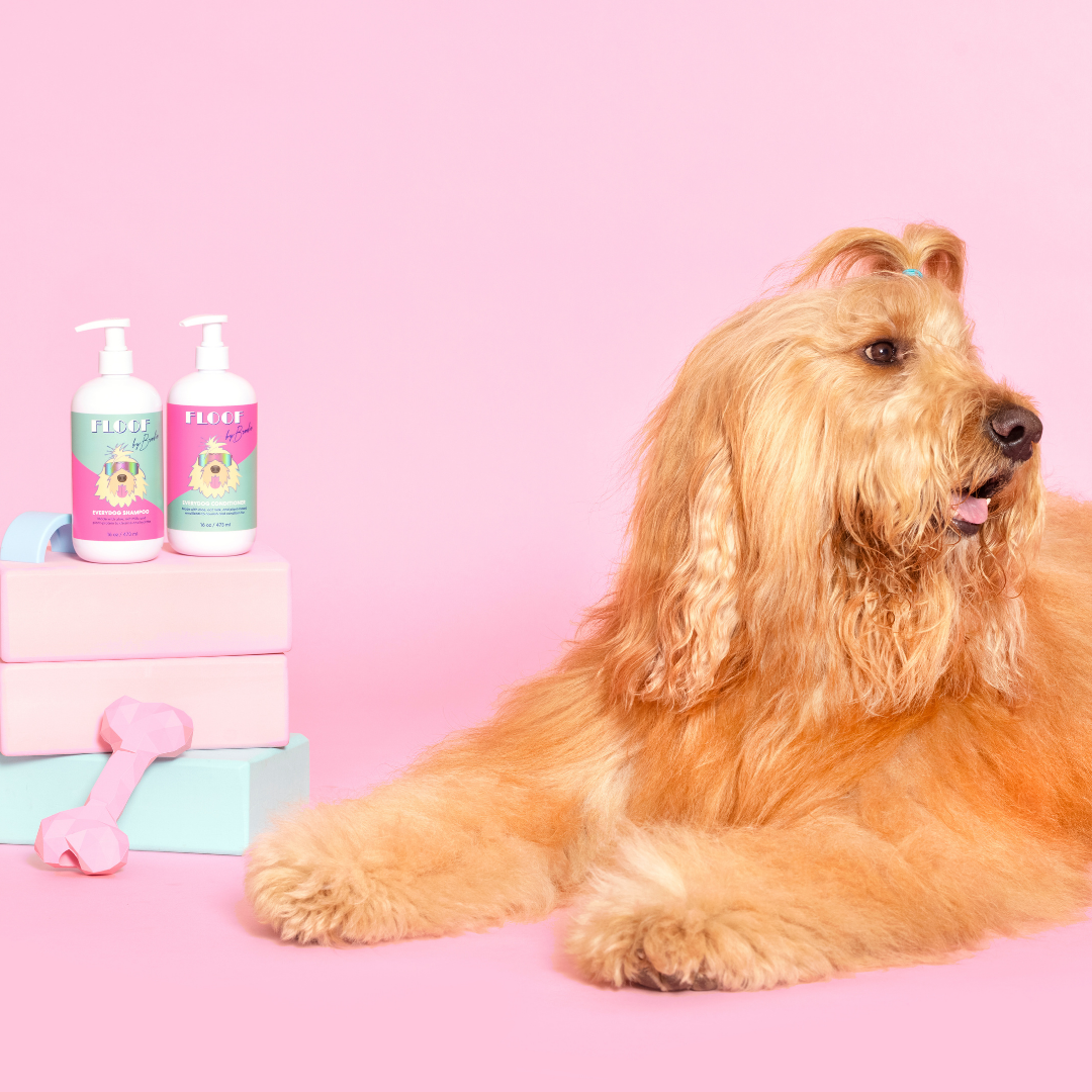 Everydog Conditioner - Nourishing Dog Conditioner for all coat types