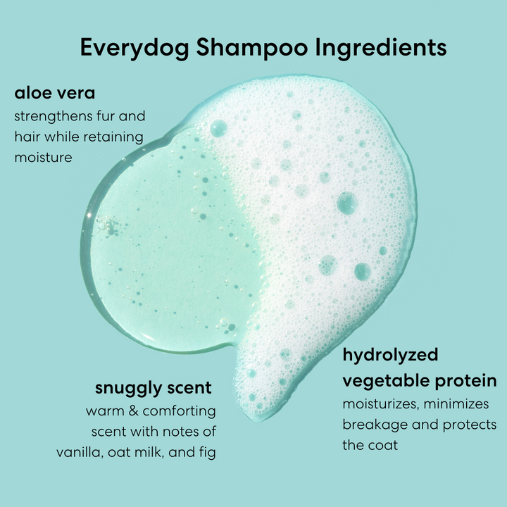 Everydog Bathtime Duo - Gentle Dog Shampoo and Conditioner for All Coat Types
