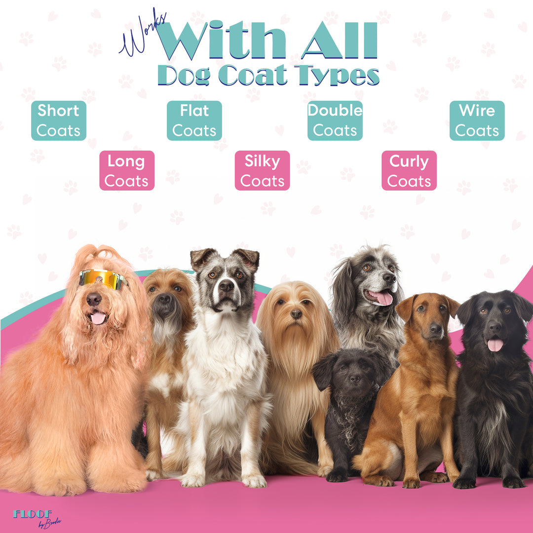 Floofluencer Collection - The Ultimate Dog Grooming Set for All Coat Types