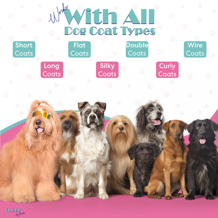 Floofluencer Collection - The Ultimate Dog Grooming Set for All Coat Types