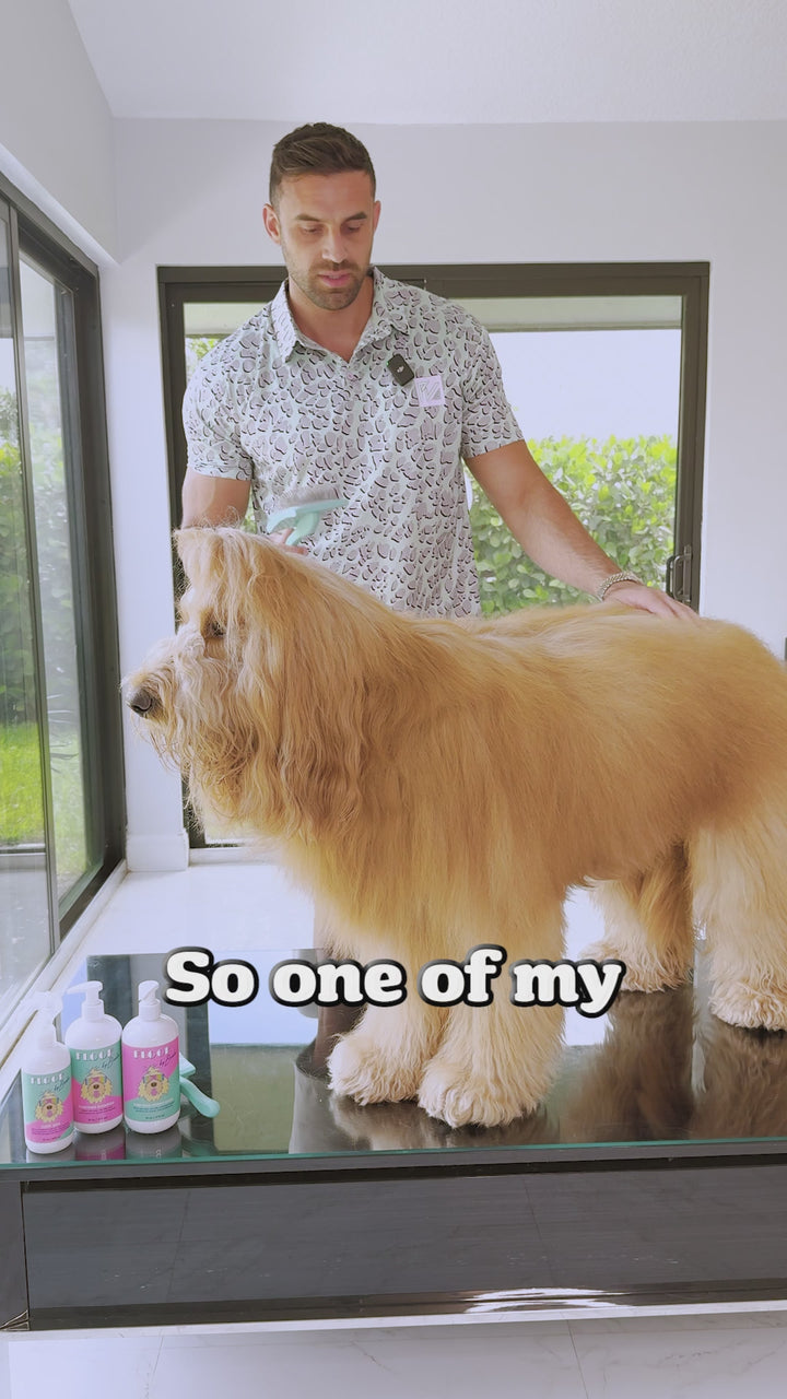 Brodie Brush - Dog Brush for Shedding and Grooming