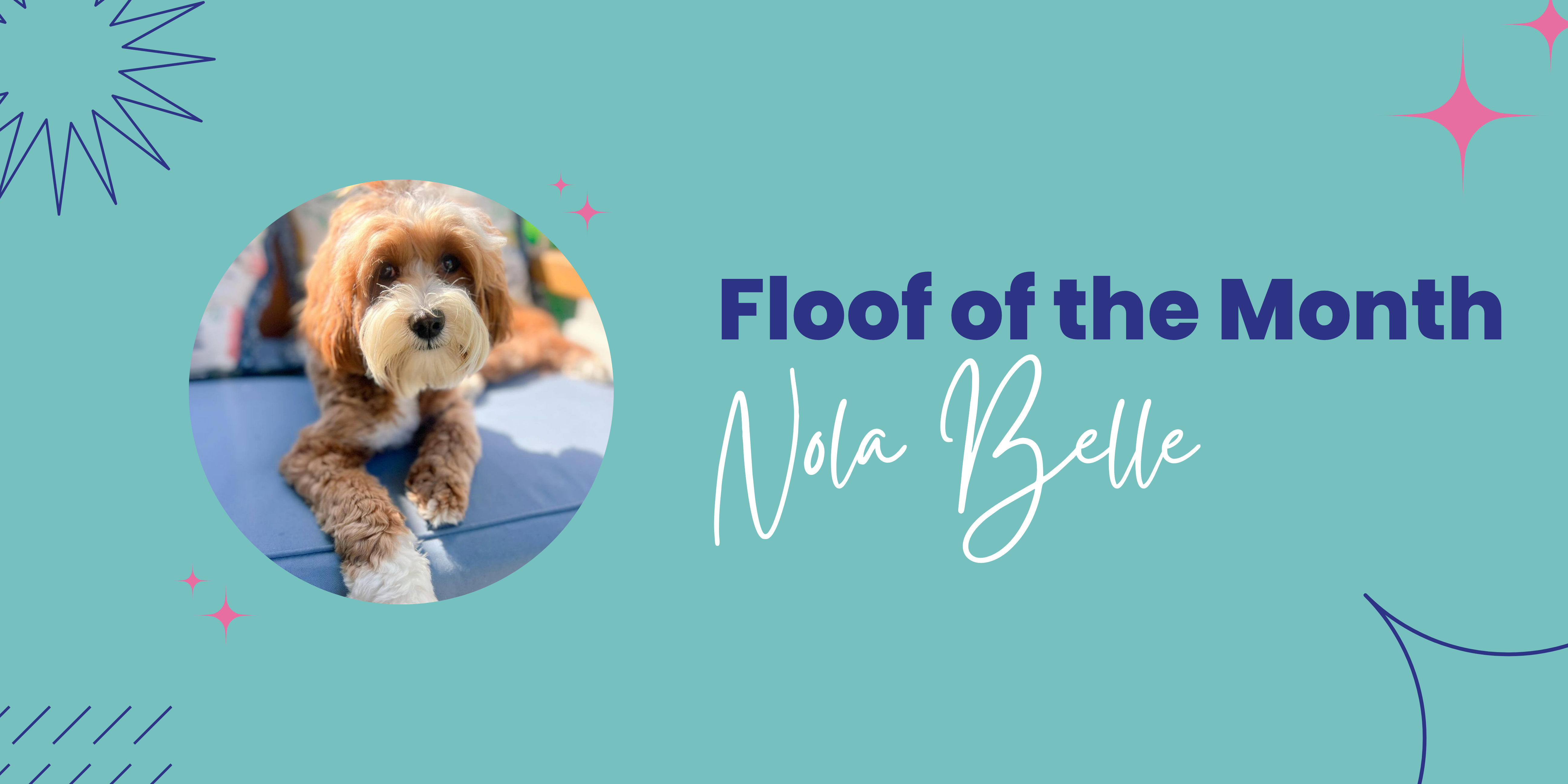 Introducing Floof of the Month! Meet Nola Belle