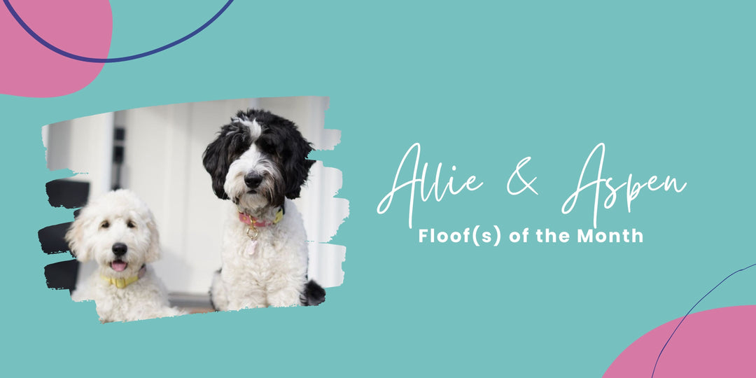 Floof(s) of the Month: Aspen & Allie