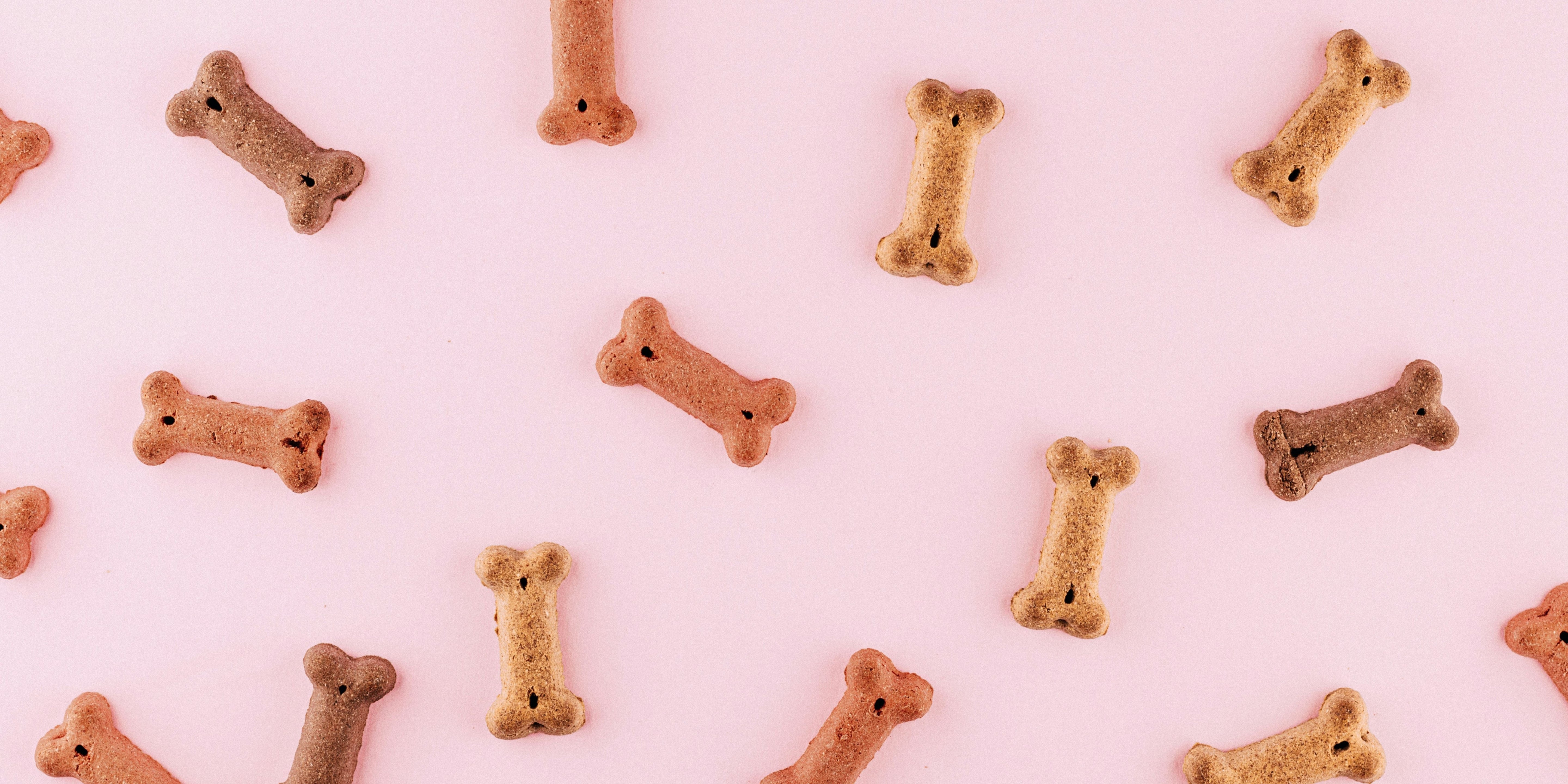 Dog Vitamins vs Dog Treats: What’s the Difference & Which Is Better?