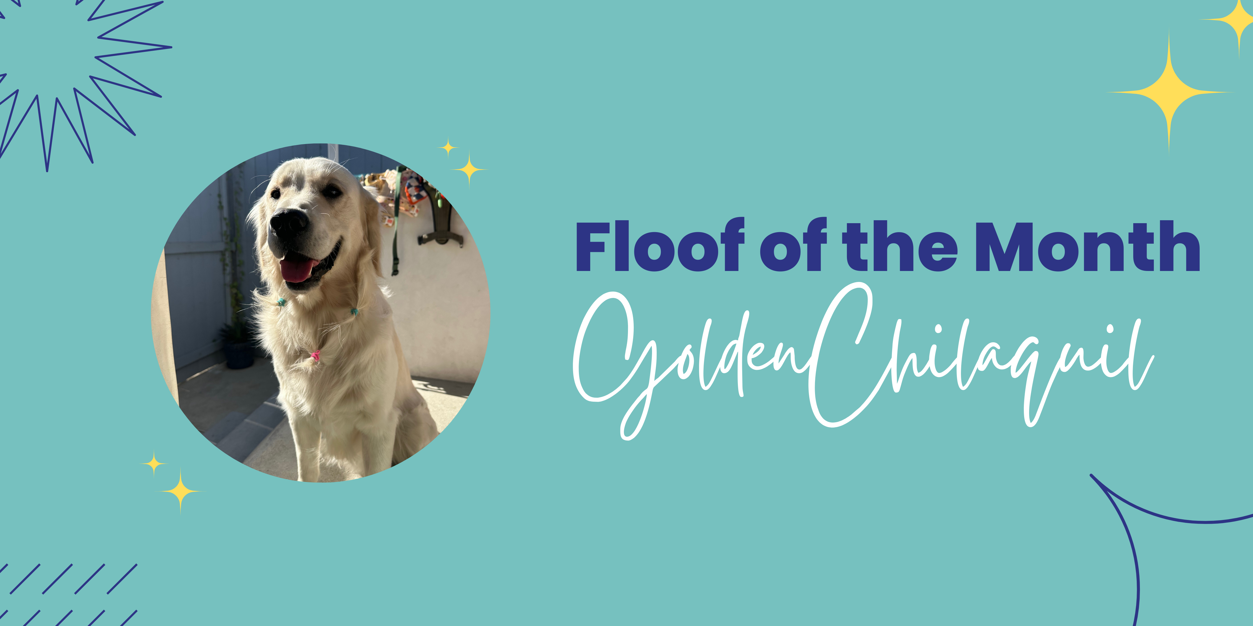 Floof of the Month: Golden Chilaquil – Floof by Brodie