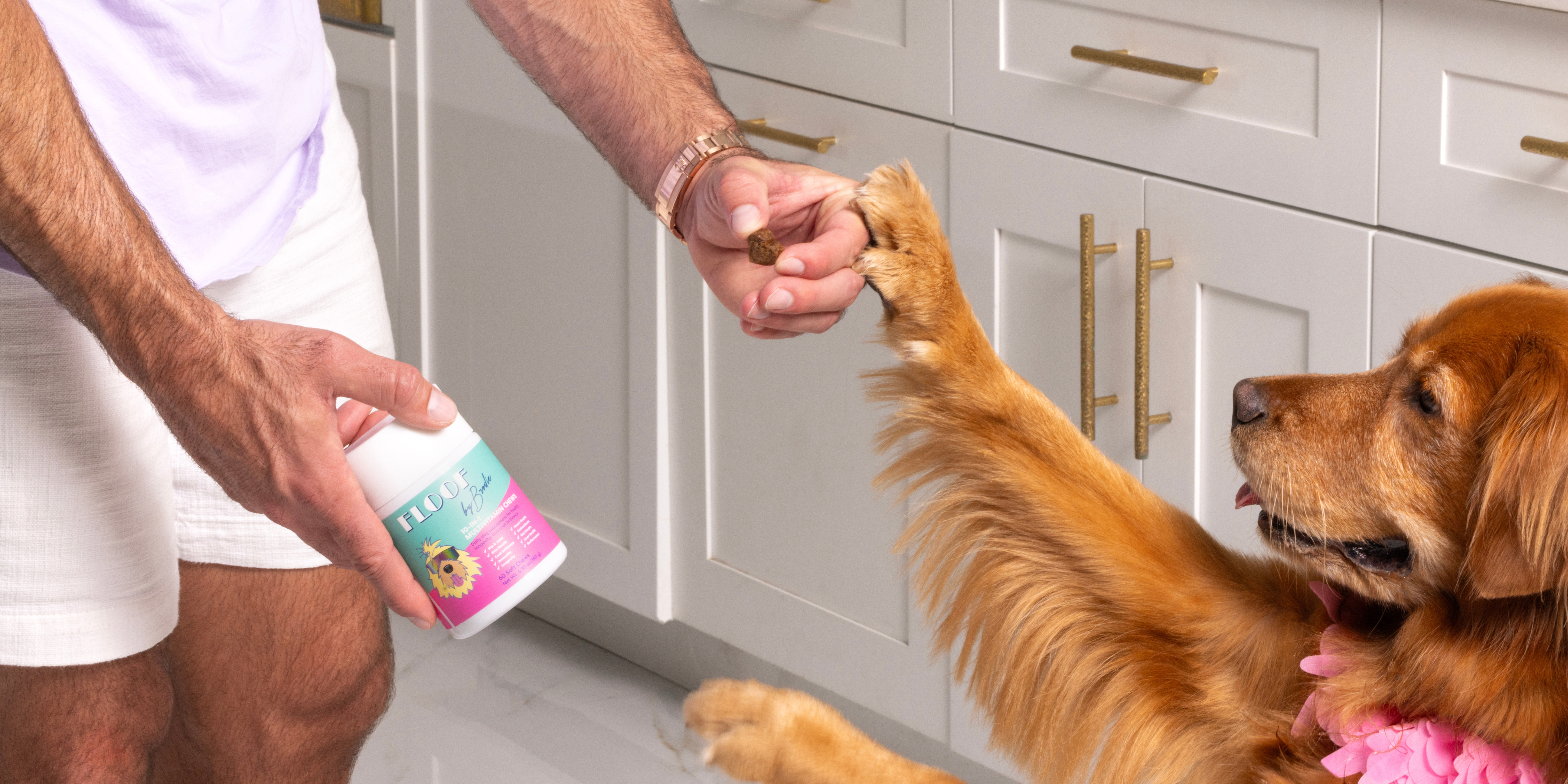 10 Reasons Why Your Dog Needs Floof by Brodie’s 10-in-1 Multivitamin Chews