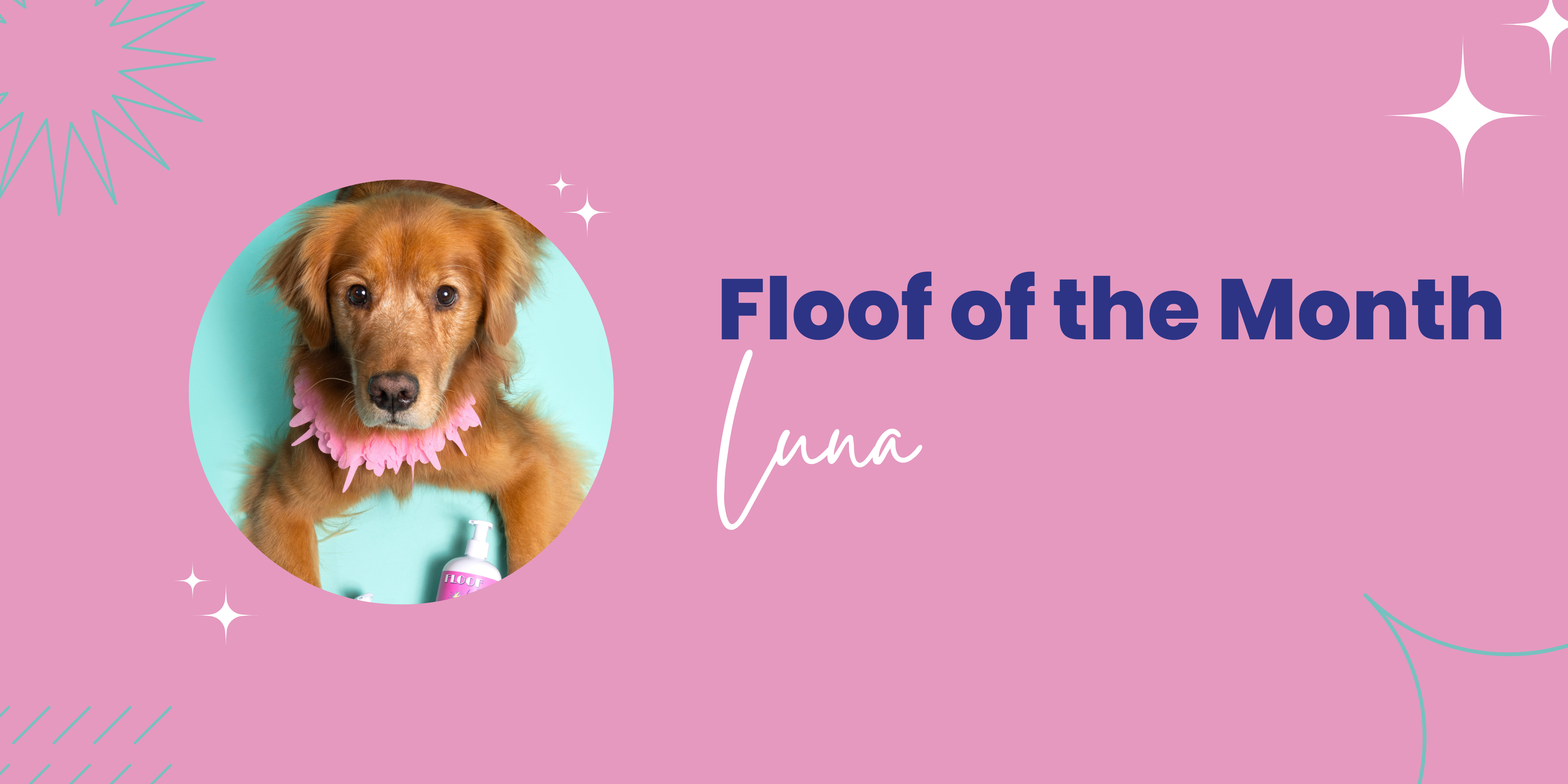 Floof of the Month: Luna that Golden