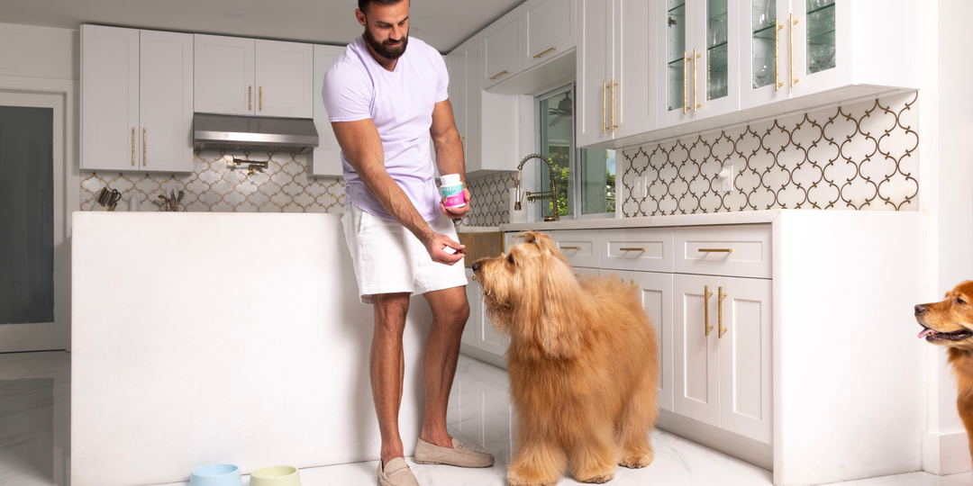 3 Snack Hacks to Level Up Your Dog’s Vitamin Game