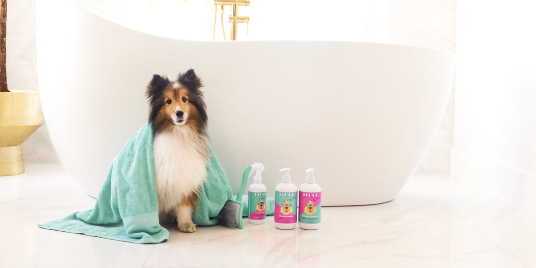Fresh Start, Floofy Finish: 5 Grooming Rituals to Reset Your Dog’s Routine
