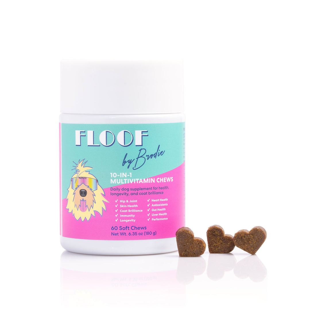 Floof by Brodie 10-in-1 Multivitamin Chews - Treats for Dogs