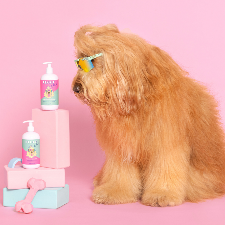 Everydog Bathtime Duo - Gentle Dog Shampoo and Conditioner for All Coat Types